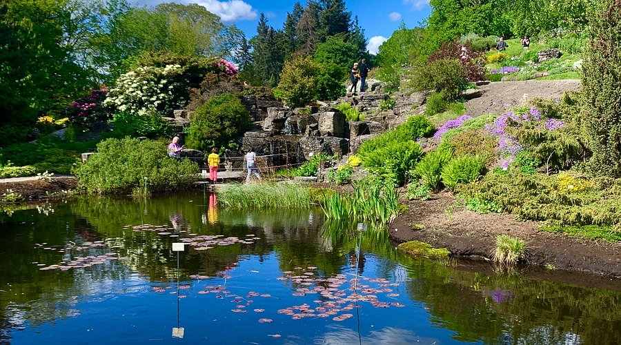 Botanisk hage (Tøyen)